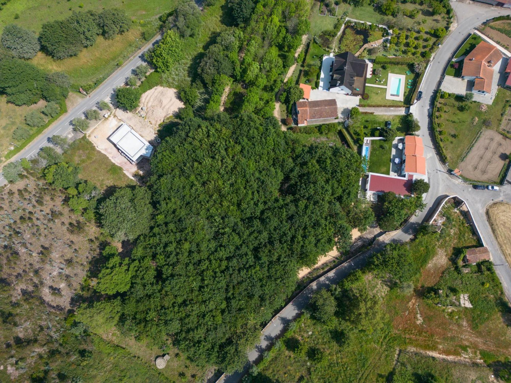 Villa Casa Do Carvalhal - Quinta Do Soldado à Alquerubim Extérieur photo